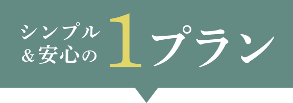 シンプル＆安心の1プラン